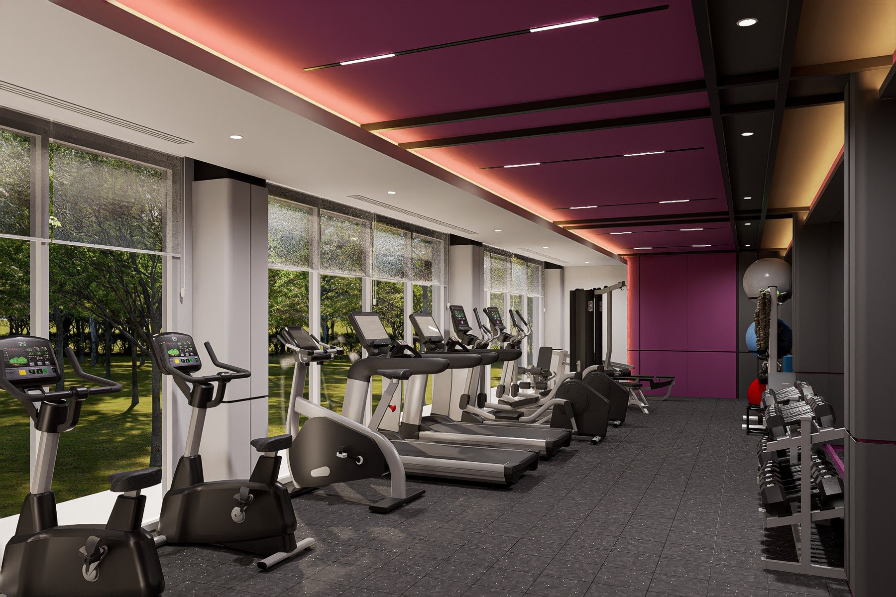 Cardio zone in the Purple Power concept