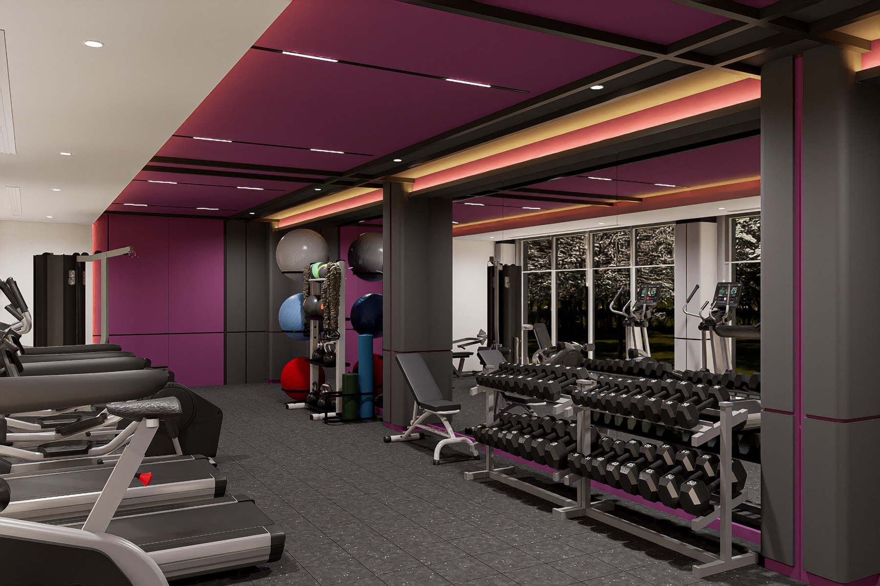 Purple Power fitness center concept